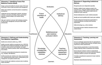 The Pain Medicine Curriculum Framework-structured integration of pain medicine education into the medical curriculum